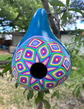 Load image into Gallery viewer, Hand Painted Blue and Purple Hanging Gourd Birdhouse
