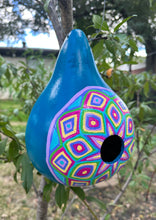 Load image into Gallery viewer, Hand Painted Blue and Purple Hanging Gourd Birdhouse
