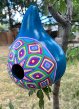 Load image into Gallery viewer, Hand Painted Blue and Purple Hanging Gourd Birdhouse
