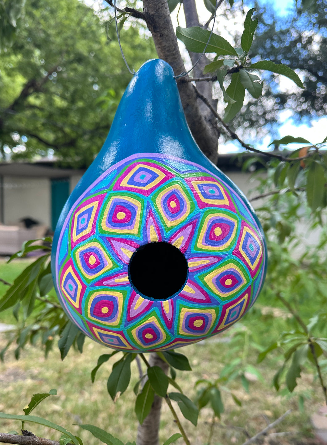 Hand Painted Blue and Purple Hanging Gourd Birdhouse