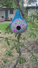 Load and play video in Gallery viewer, Hand Painted Blue and Purple Hanging Gourd Birdhouse
