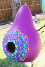 Load image into Gallery viewer, Magenta and Purple Hand Painted Gourd Birdhouse
