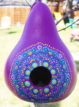 Load image into Gallery viewer, Magenta and Purple Hand Painted Gourd Birdhouse
