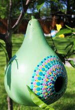 Load image into Gallery viewer, Light Green and Yellow Hand Painted Gourd Bird House
