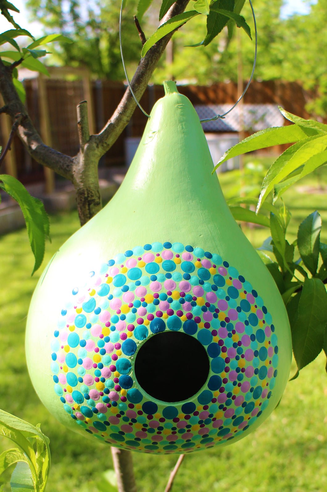 Light Green and Yellow Hand Painted Gourd Bird House