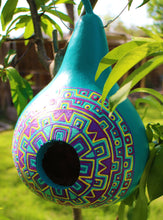 Load image into Gallery viewer, Teal and Magenta Hand Painted Gourd Bird House
